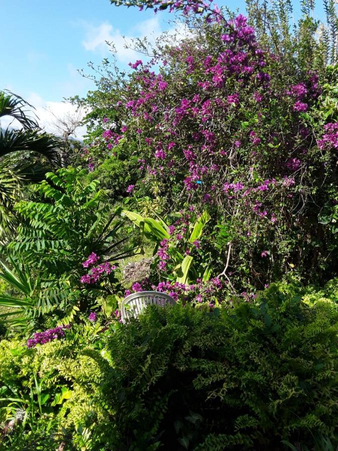 Villa La Siguine Gourbeyre Esterno foto
