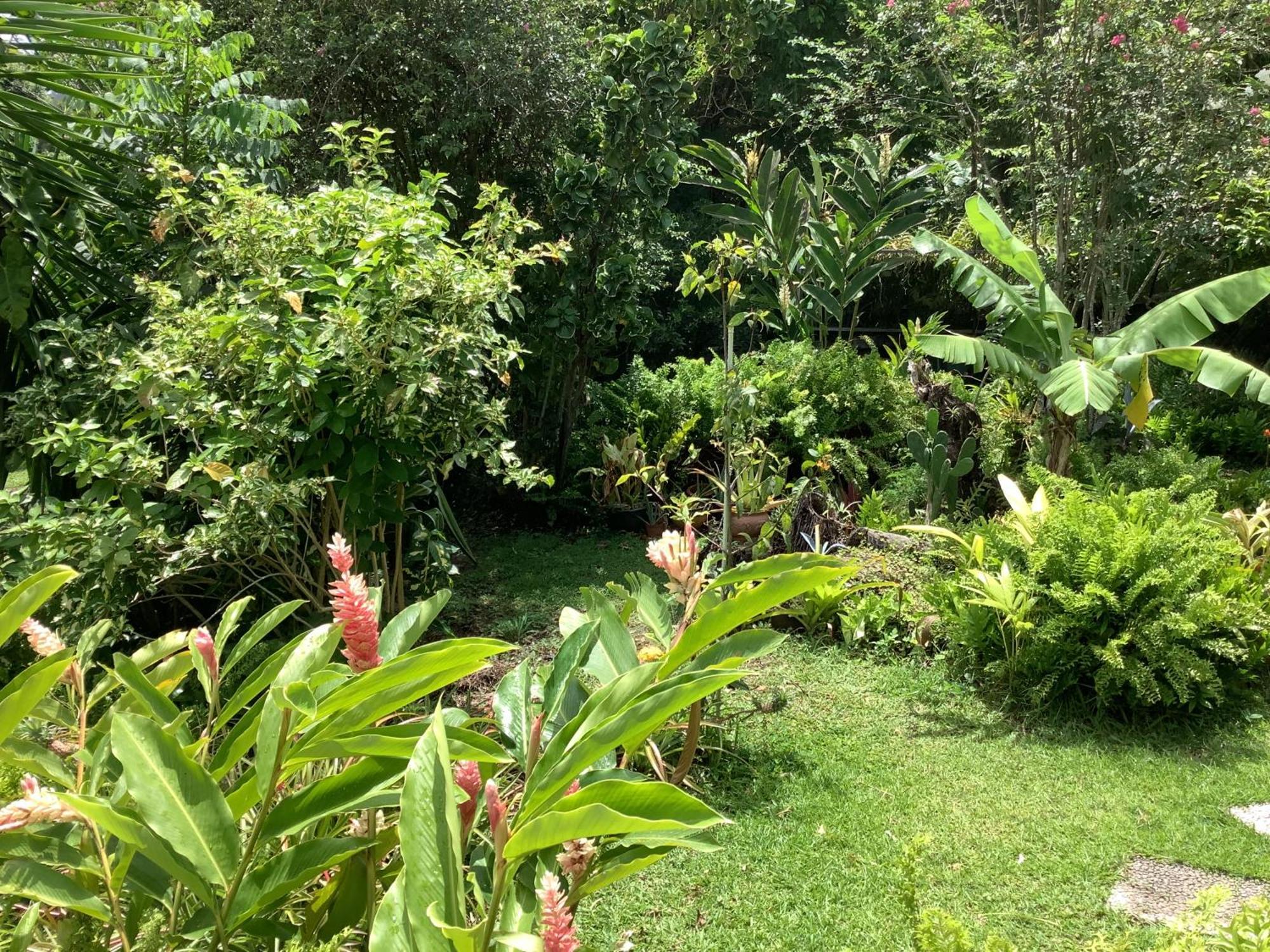 Villa La Siguine Gourbeyre Esterno foto